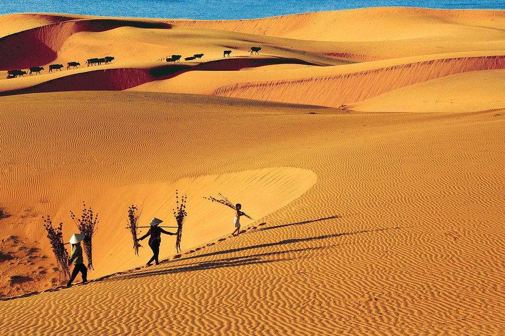 Du lich phan thiet ivivu1